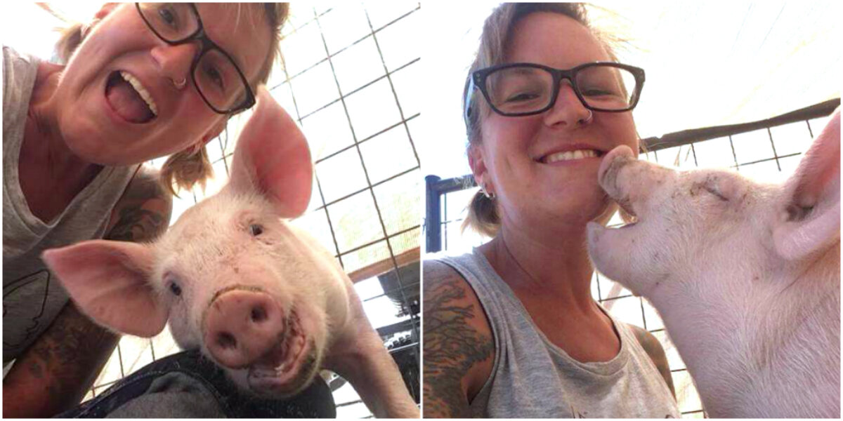 Piglet Getting Scared Scared Piglet Lights Up When He Realizes He’s Safe - The Dodo