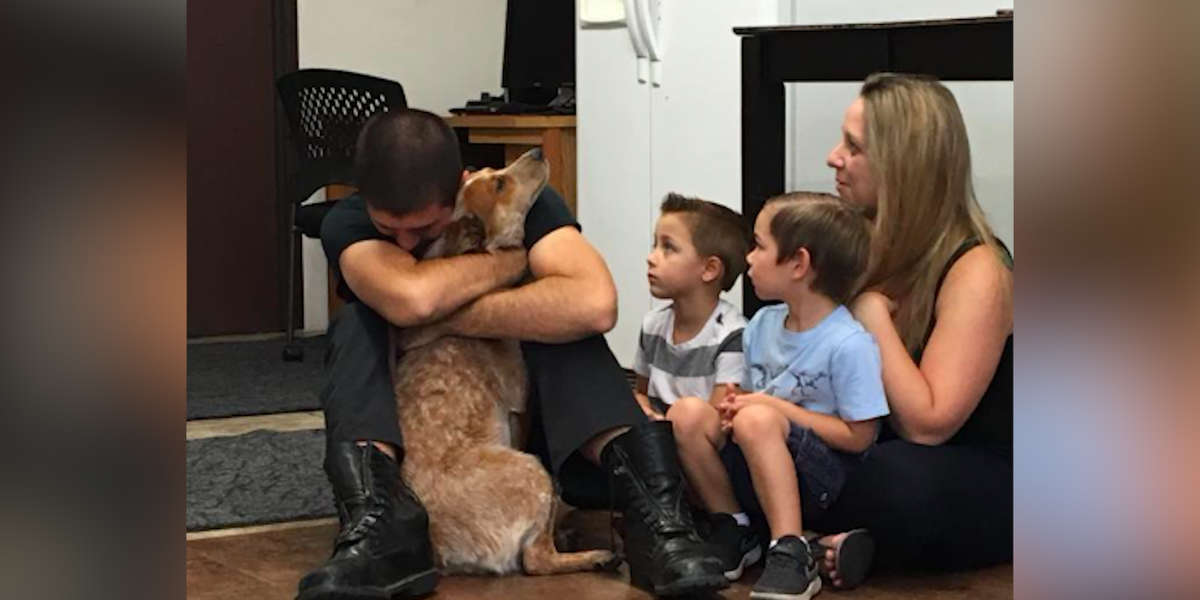Service Dog Reunites With Family After Surviving 28 Days In The Woods ...