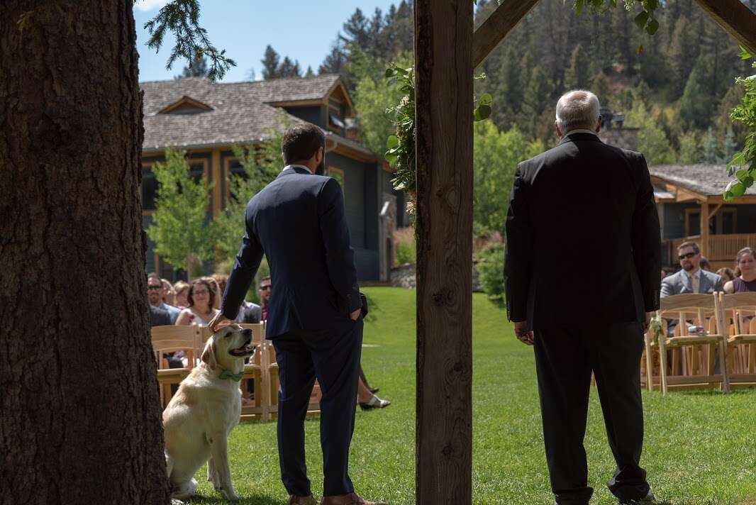 Groom standing with dog at wedding alter