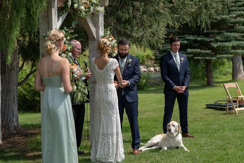 Dog sitting on ground during wedding ceremony