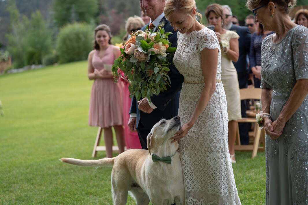 Bride petting dog before ceremony