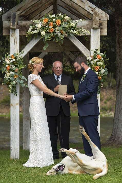 Dog rolling around during wedding