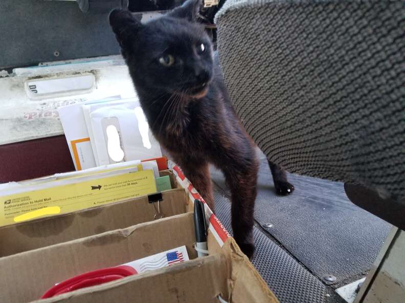 Bijou sniffs some mail