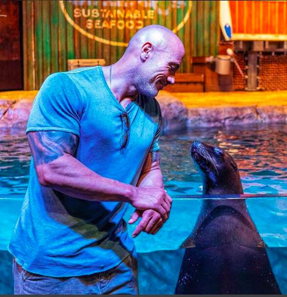 The Rock posing with captive seal