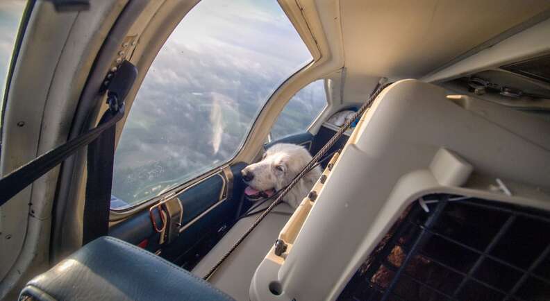 Woody riding in an airplane