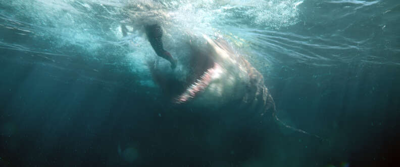 The Meg movie shark 