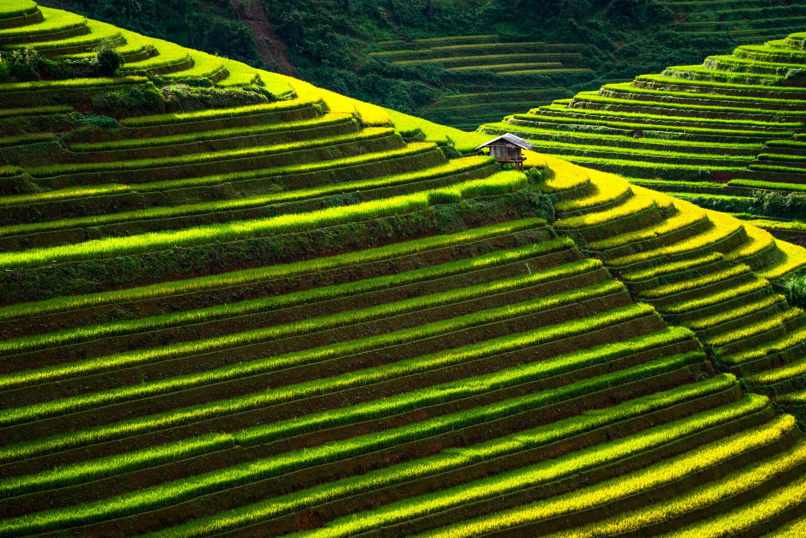 Best Places to Visit in Southeast Asia Bucket List Countries - Thrillist