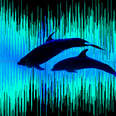 Artificial Intelligence Is Mapping the Pacific Ocean’s Secret Soundscape