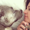 This Pit Bull Taught Her Mom Everything She Needed To Know About Love