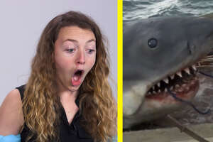 These People Have Never Seen 'Jaws'
