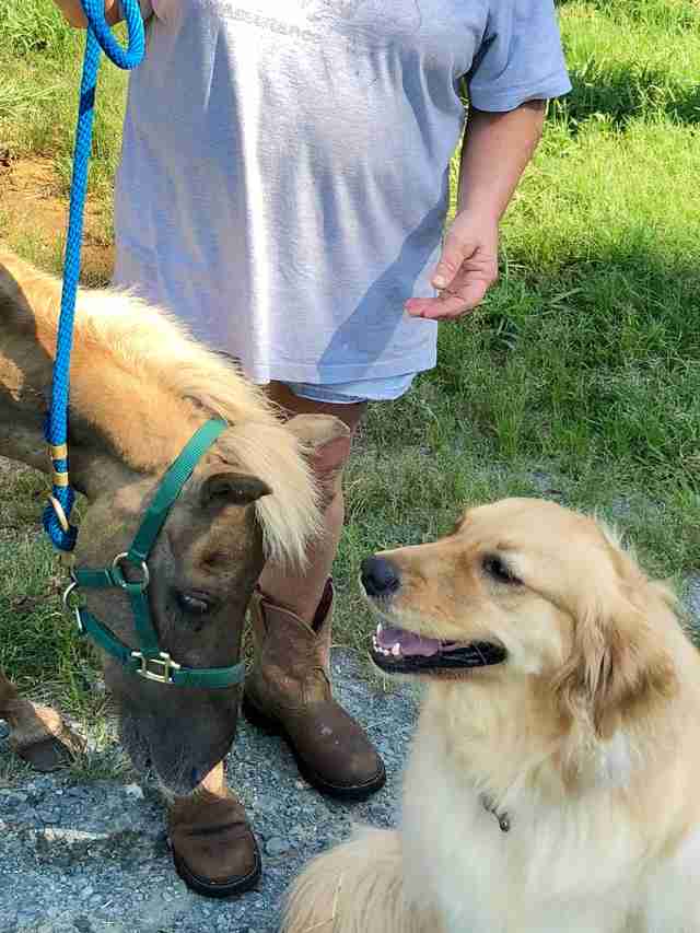 Molly and Sammie in South Carolina