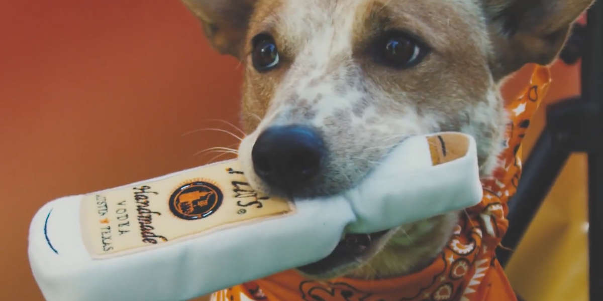 Tito’s Vodka Runs a Dog Shelter - Videos - NowThis
