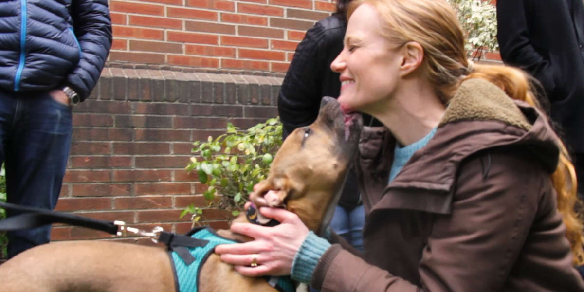 This Dog's About To See Her Foster Mom For The First Time Since