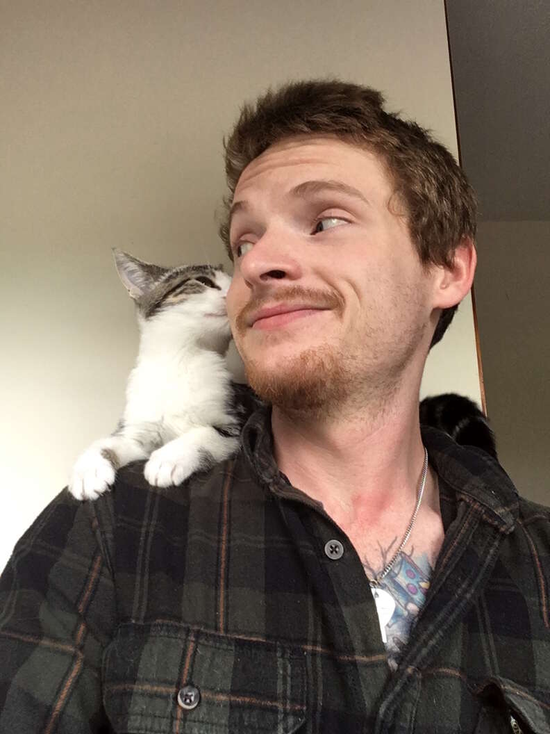 not a cat person adopts kitten