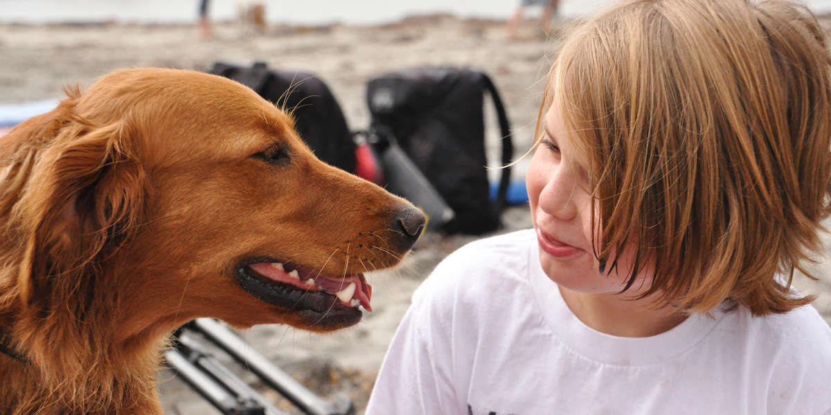 Dog Who Changed Everything For A Little Boy Reunites With Him - Videos ...