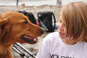 Dog Who Changed Everything For A Little Boy Reunites With Him