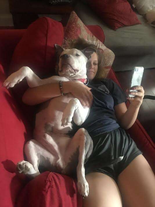 Dog cuddling with woman on couch