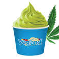 London's Yogland Selling CBD-Infused 'Hemp Matcha' Yogurt