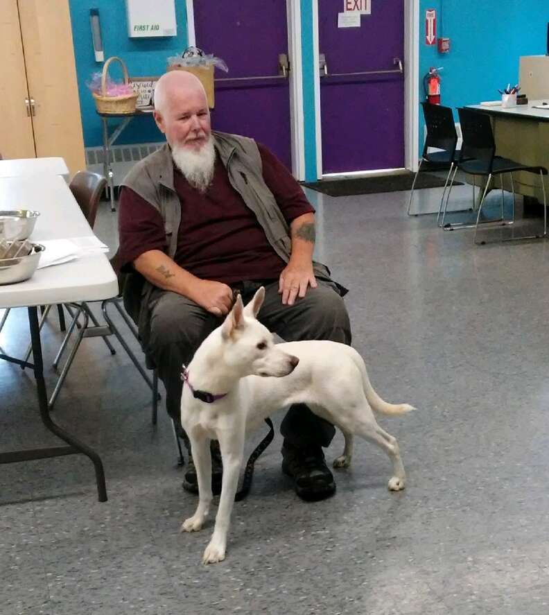 River, a shepherd husky mix, at the Central New York SPCA shelter