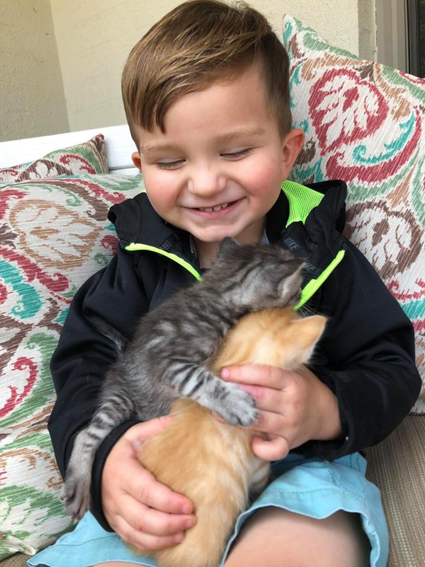 Stray Kittens Get Adorable Photoshoot To Help Them Find Forever Homes