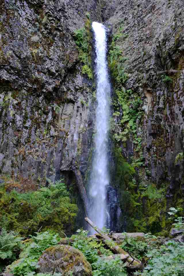 Best Swimming Holes in Portland: Places to Swim Near Me - Thrillist