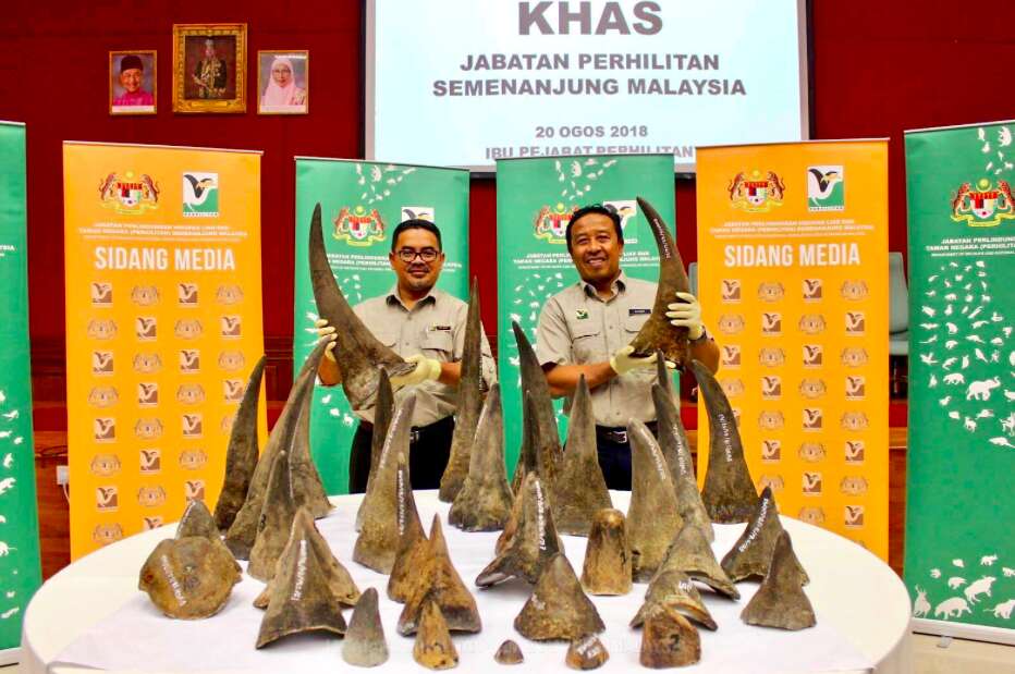 rhino horns malaysia