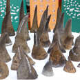 rhino horn smuggle malaysia
