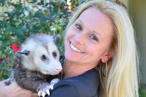 This Woman's Soulmate Is A Possum