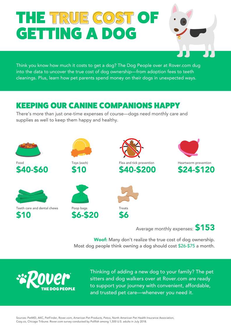 how much does dog cost per month