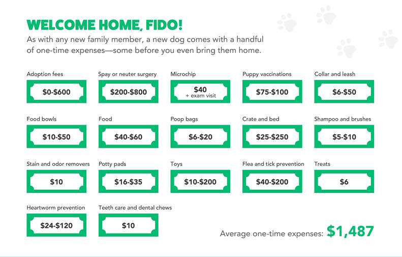 Average cost of dog food per month outlet