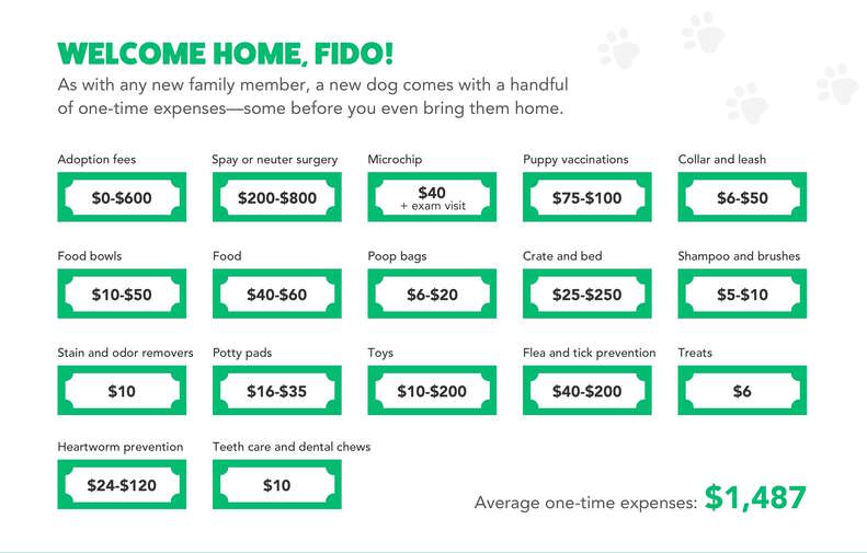 how much does dog cost per month