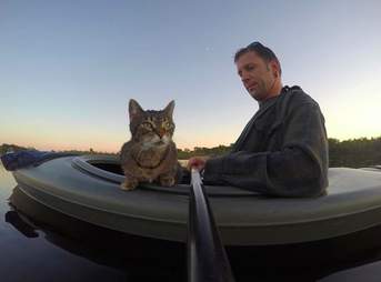 kayak cat