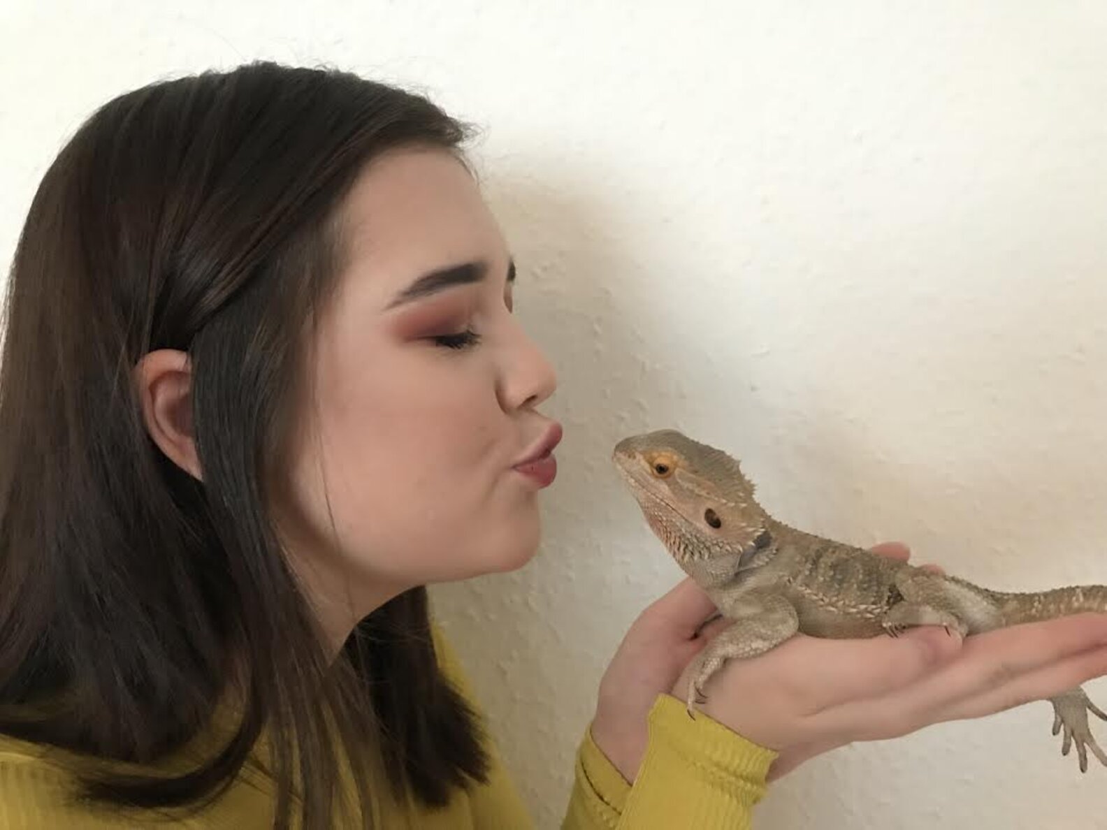 This Bearded Dragon Is Obsessed With Blankets The Dodo