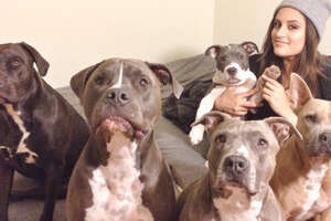 This Dog Made Her Mom Fill Her House Up With Pit Bulls 