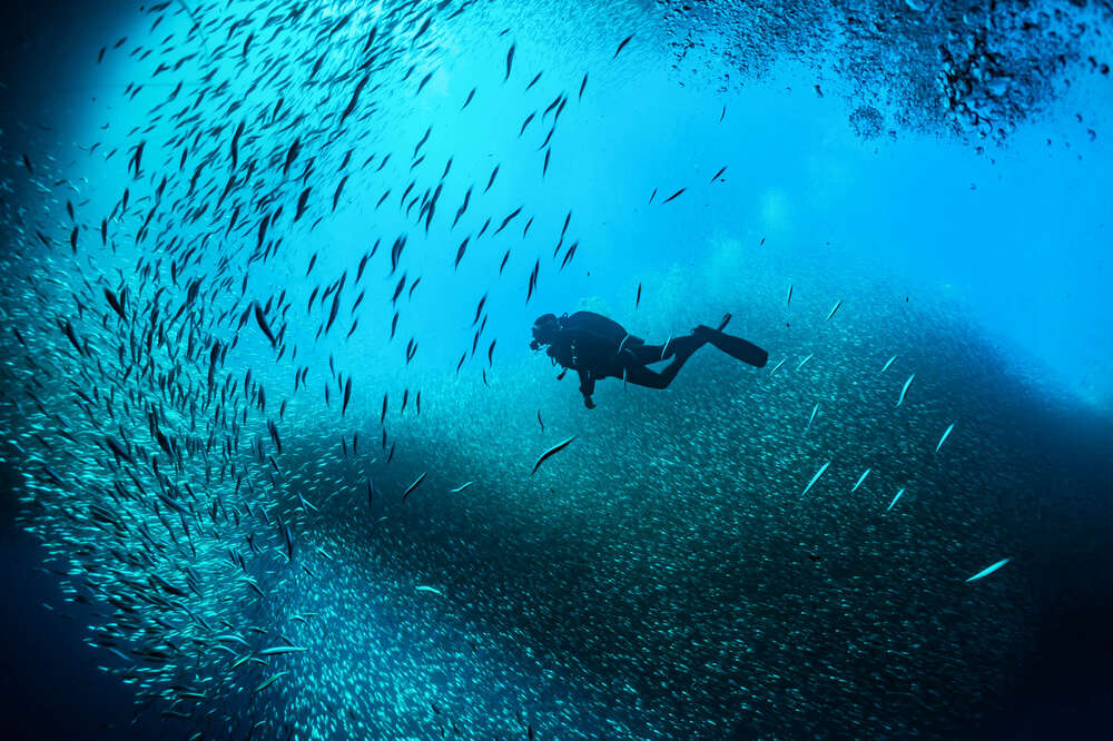 How to Become a Certified Scuba Diver on Vacation, According to a Traveler  Who Did It
