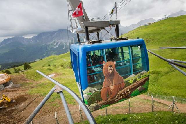 Ex-circus bear being transferred to sanctuary in the Swiss Alps