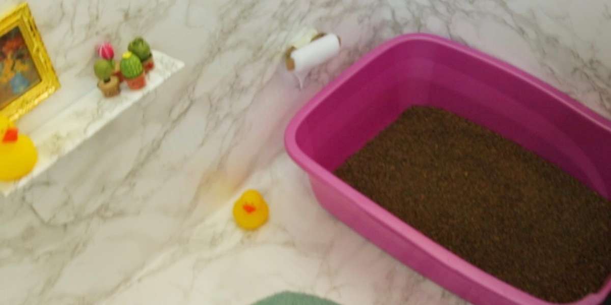 DIY Luxury Cat Bathroom - Videos - The Dodo