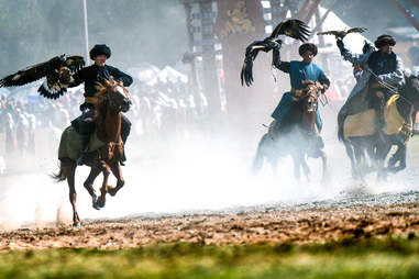 horse