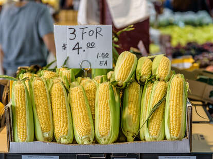Corn Riots Corn Sale at a Canadian Grocery Store Causes Massive Riot - Thrillist
