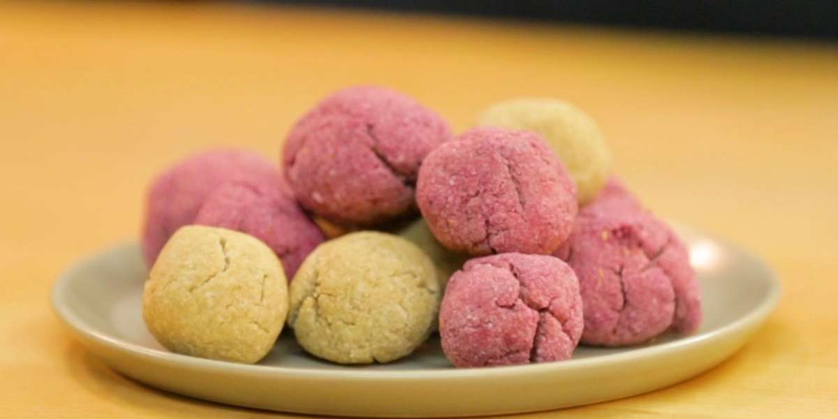 DIY Dog Treat Balls Videos The Dodo