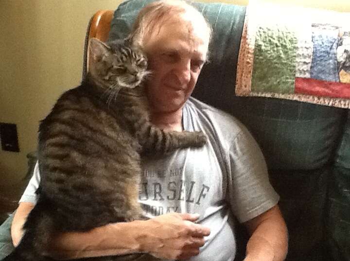 cat loves cuddling with dad