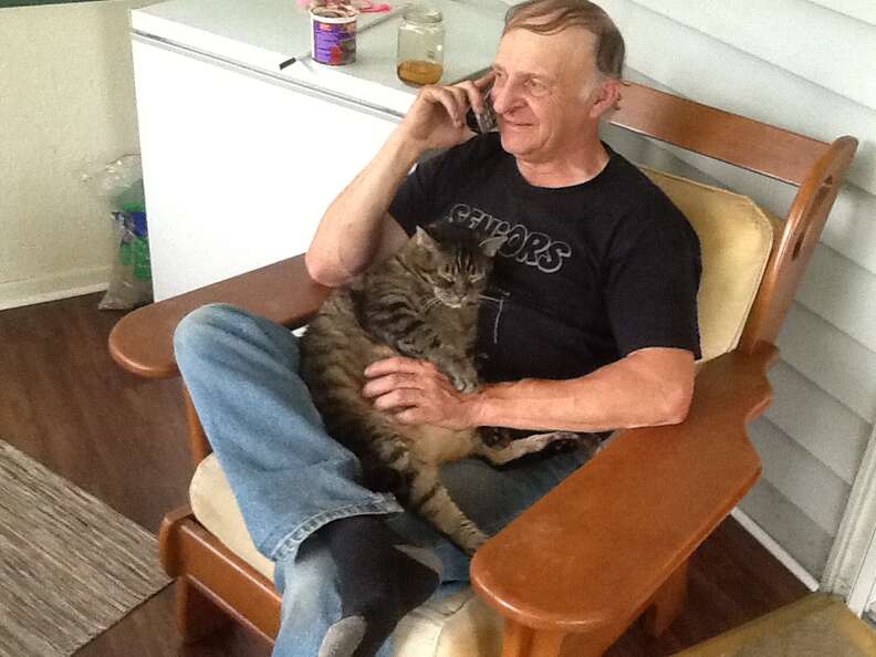 cat loves cuddling with dad