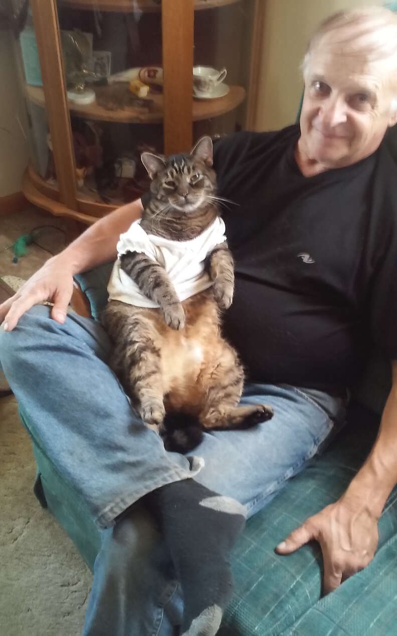 cat loves cuddling with dad