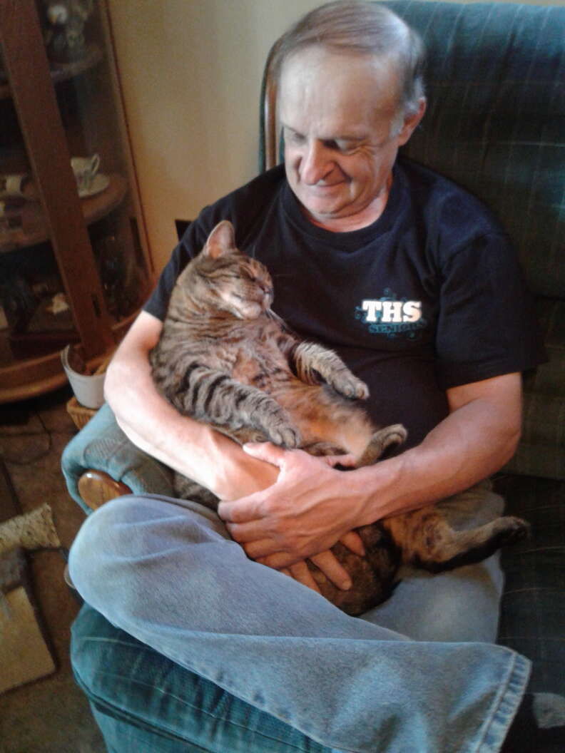 cat loves cuddling with dad