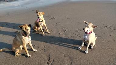 The bali squad goes to the beach