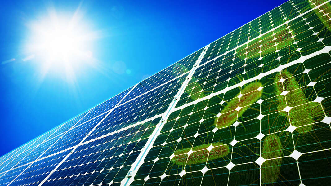 Питание солнечной энергией. Solar Green. Na ქიმიური ელემენტი.