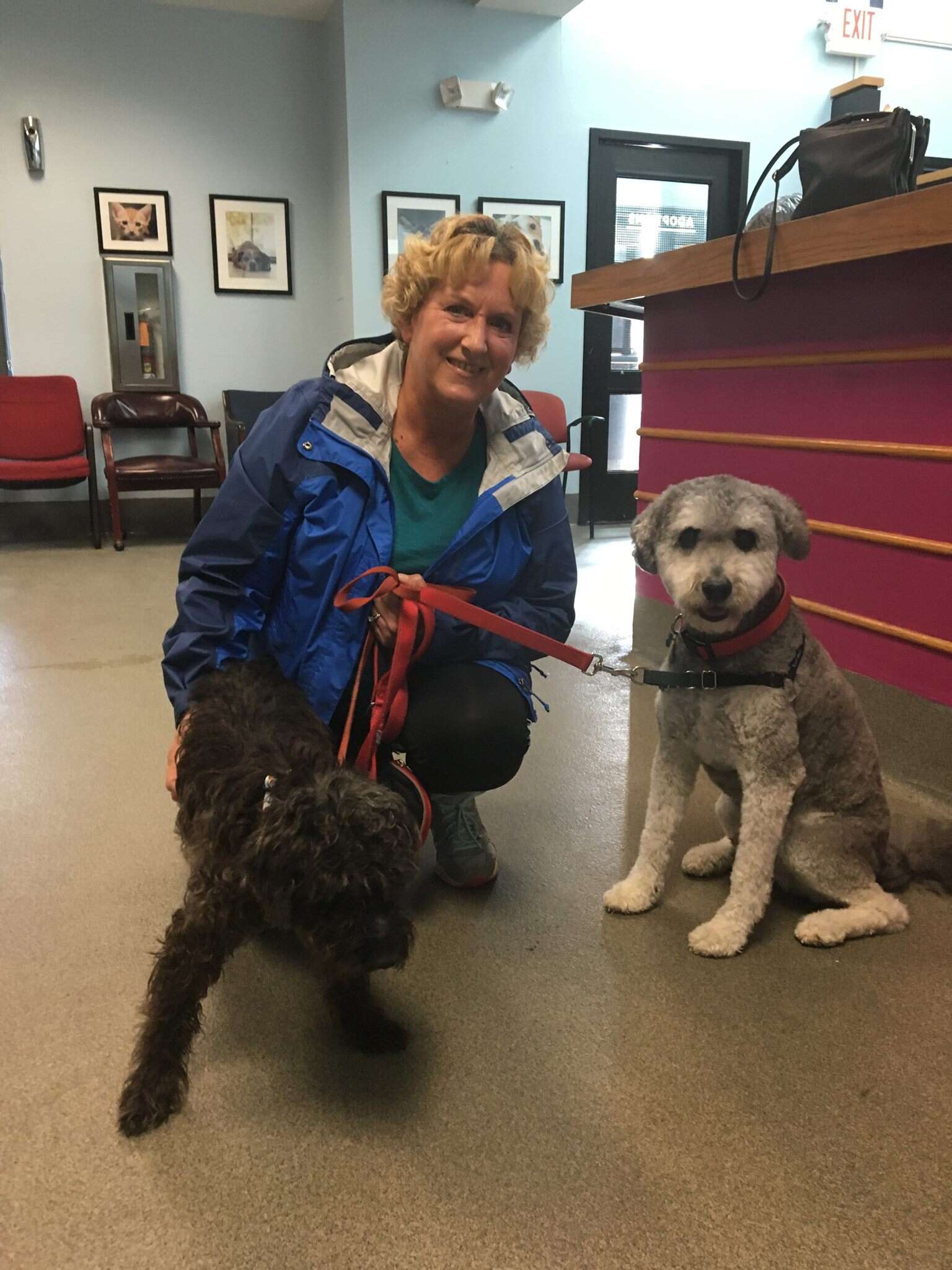 Oreo the abandoned senior dog with his adoptive family