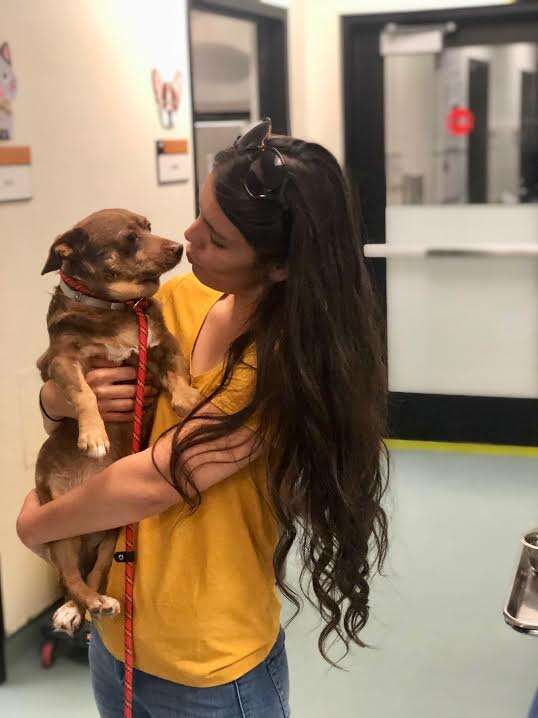 Dog being held by young woman