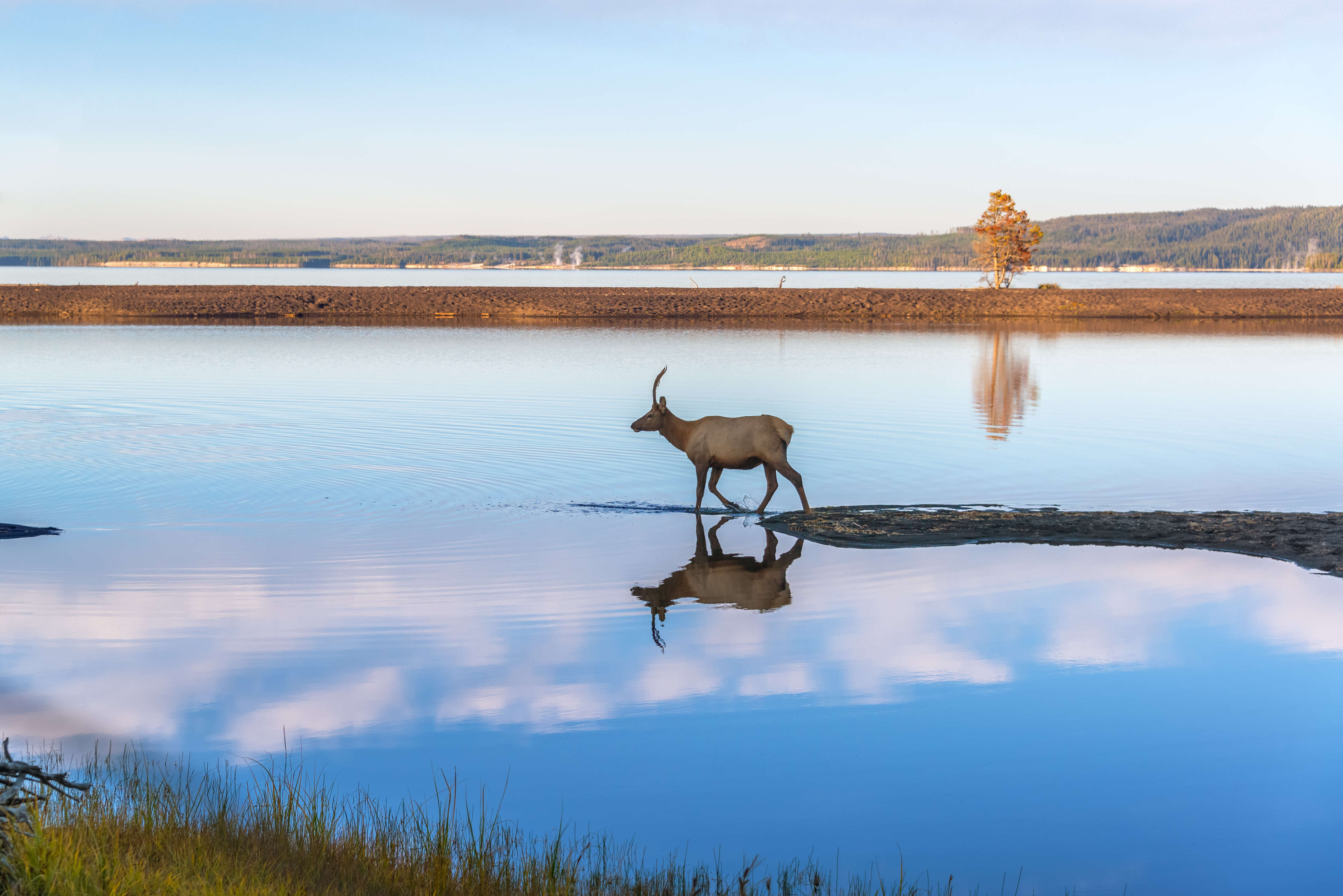 Yellowstone Lake in Yellowstone National Park