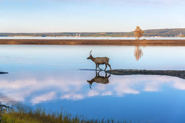 Yellowstone Lake in Yellowstone National Park